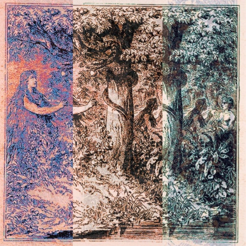 binarytrees - Sunk With Broken Hooks